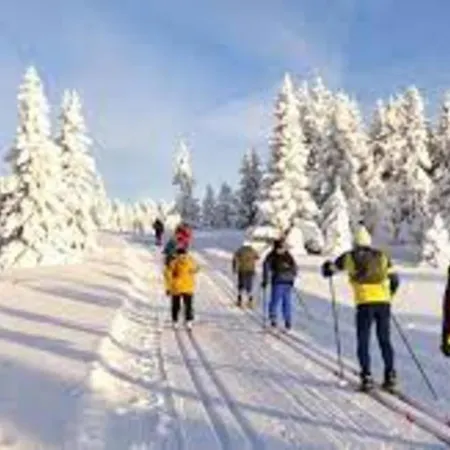 Διαμέρισμα Le P'tit Padre *